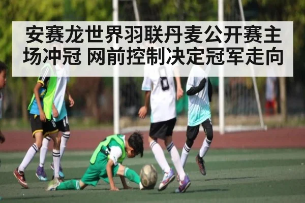 安赛龙世界羽联丹麦公开赛主场冲冠 网前控制决定冠军走向