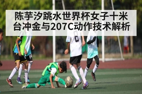 陈芋汐跳水世界杯女子十米台冲金与207C动作技术解析