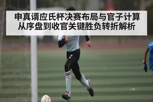 申真谞应氏杯决赛布局与官子计算从序盘到收官关键胜负转折解析